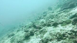 Muli Corner Meemu прозрачный свал и безопасна ли рыбалка с берега?