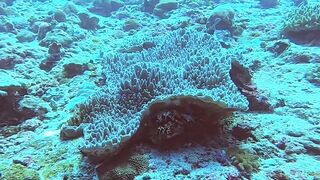 Muli Corner Meemu прозрачный свал и безопасна ли рыбалка с берега?