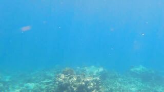 Kudahuvadhoo: снорклинг с акулами и морская рыбалка на мелких свалах