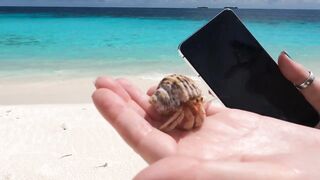 Kudahuvadhoo: снорклинг с акулами и морская рыбалка на мелких свалах