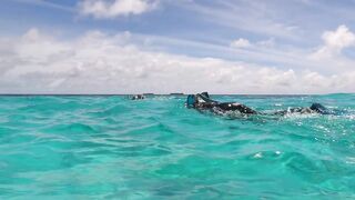 Kudahuvadhoo: снорклинг с акулами и морская рыбалка на мелких свалах