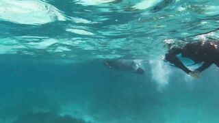 Kudahuvadhoo: снорклинг с акулами и морская рыбалка на мелких свалах