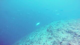 Kudahuvadhoo 2017 берег и пирс какую рыбалку мы нашли зимой?