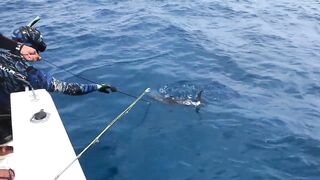 Kudahuvadhoo 2017 берег и пирс какую рыбалку мы нашли зимой?