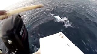 Gan Addu морская рыбалка в Адду на троллинг и спор рыбака с ветром