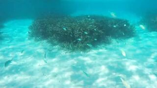 Gan Island Addu спокойный залив и рыбалка на ставриду у волнореза