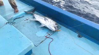 Фувамула 2022 - морская рыбалка с берега и на лодке по ветру