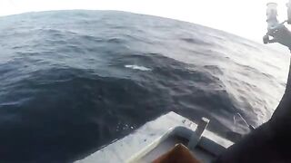 GT Lhaviyani Atoll - поппинг по свалу и тяжелая выкачка на короткой волне