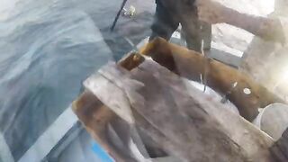 GT Lhaviyani Atoll - поппинг по свалу и тяжелая выкачка на короткой волне