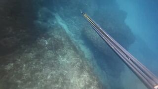 Подводная охота и морская рыбалка в Нетании Израиль на прибрежных плитах