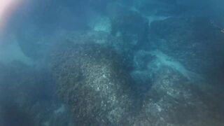 Подводная охота и морская рыбалка в Нетании Израиль на прибрежных плитах