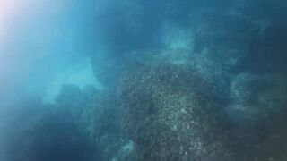 Подводная охота и морская рыбалка в Нетании Израиль на прибрежных плитах