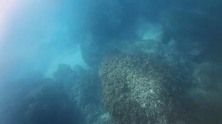 Подводная охота и морская рыбалка в Нетании Израиль на прибрежных плитах