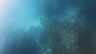 Подводная охота и морская рыбалка в Нетании Израиль на прибрежных плитах