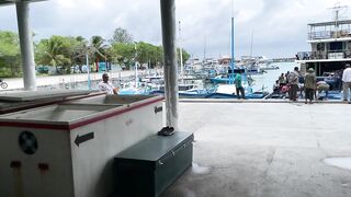 Фувамула рыбный рынок и цены, что берут местные для ухи