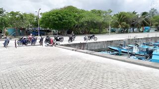 Фувамула рыбный рынок и цены, что берут местные для ухи