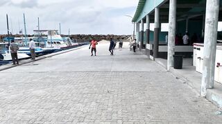 Фувамула рыбный рынок и цены, что берут местные для ухи