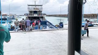 Фувамула рыбный рынок и цены, что берут местные для ухи