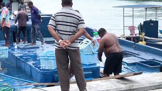 Фувамула рыбный рынок и цены, что берут местные для ухи