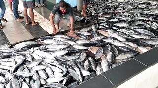 Фувамула рыбный рынок и цены, что берут местные для ухи