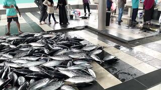 Фувамула рыбный рынок и цены, что берут местные для ухи