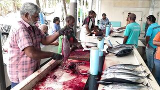 Фувамула рыбный рынок и цены, что берут местные для ухи