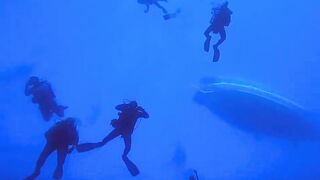 Фувамула 2022 первый выезд и береговая рыбалка на закате