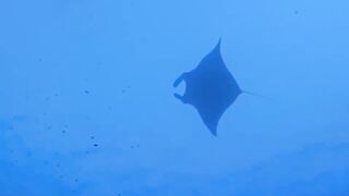 Фувамула 2022 первый выезд и береговая рыбалка на закате