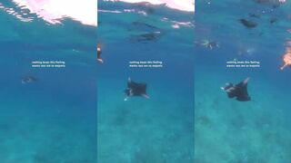 Lhaviyani Atoll и манта рядом морская рыбалка здесь идёт в те же точки?