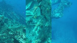 Lhaviyani Atoll затонувшее судно и где рядом рыбалка с берега