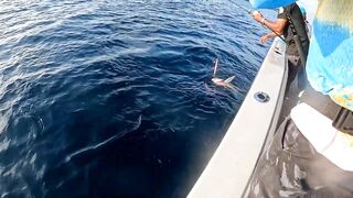 Raa Atoll day, простая рыбалка у кромки травы без суеты