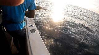 Raa Atoll day, простая рыбалка у кромки травы без суеты