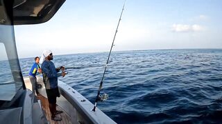 Raa Atoll day, простая рыбалка у кромки травы без суеты