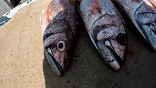 Raa Atoll day, простая рыбалка у кромки травы без суеты