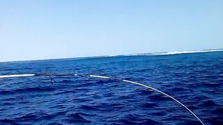 Raa Atoll морская рыбалка на твердом свале по GT и trevally