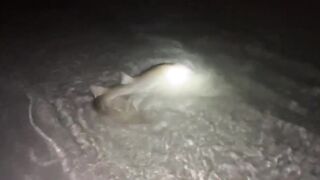 Vaadhoo, Raa Atoll вечерняя лагуна и светлячки на волне