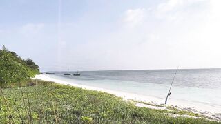 Vaadhoo, Raa Atoll вечерняя лагуна и светлячки на волне