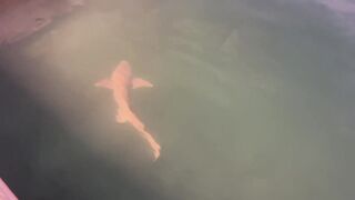 Остров Ukulhas, цены и еда, а где тут рыбалка с берега по вечерам?