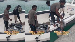 Maldives, короткий трип и первые поклёвки у домашнего рифа