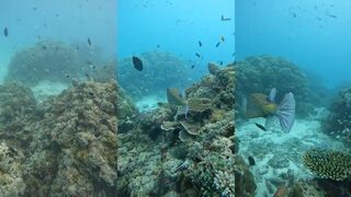 Ukulhas, Baraboa: снорклинг и будет ли рыбалка у рифа в сентябре 2023?