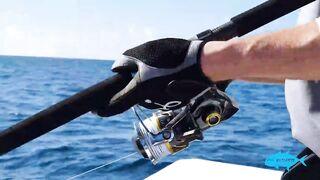 Ukulhas Atoll Fisher морская рыбалка на поппер и ход по тунцу в пассы