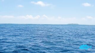 Ukulhas Atoll Fisher морская рыбалка на поппер и ход по тунцу в пассы