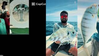 Shaviyani, июнь 2025 лобстеры риф и длинные переходы