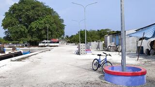 Shaviyani Goidhoo разделка улова и куда здесь рыбалка уходит по утрам