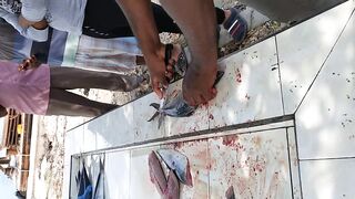 Shaviyani Goidhoo разделка улова и куда здесь рыбалка уходит по утрам