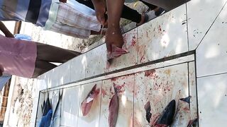 Shaviyani Goidhoo разделка улова и куда здесь рыбалка уходит по утрам