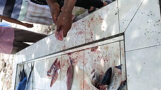 Shaviyani Goidhoo разделка улова и куда здесь рыбалка уходит по утрам