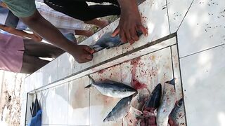 Shaviyani Goidhoo разделка улова и куда здесь рыбалка уходит по утрам