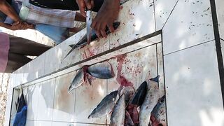 Shaviyani Goidhoo разделка улова и куда здесь рыбалка уходит по утрам