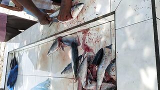 Shaviyani Goidhoo разделка улова и куда здесь рыбалка уходит по утрам